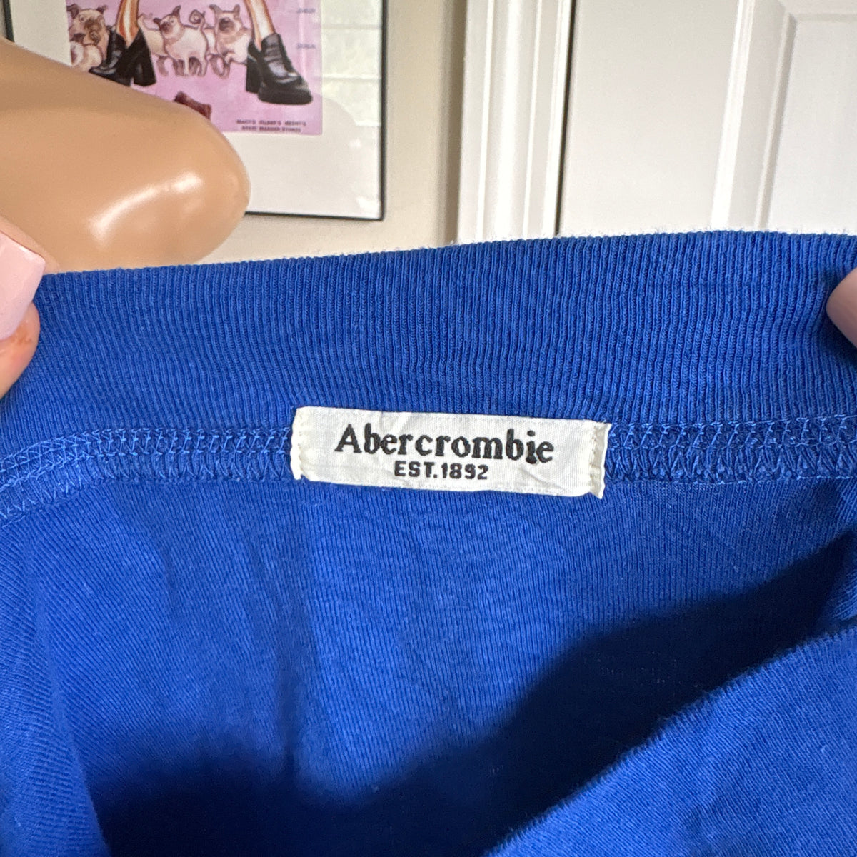 00s Abercrombie blue moose short sleeve (size XS/S)
