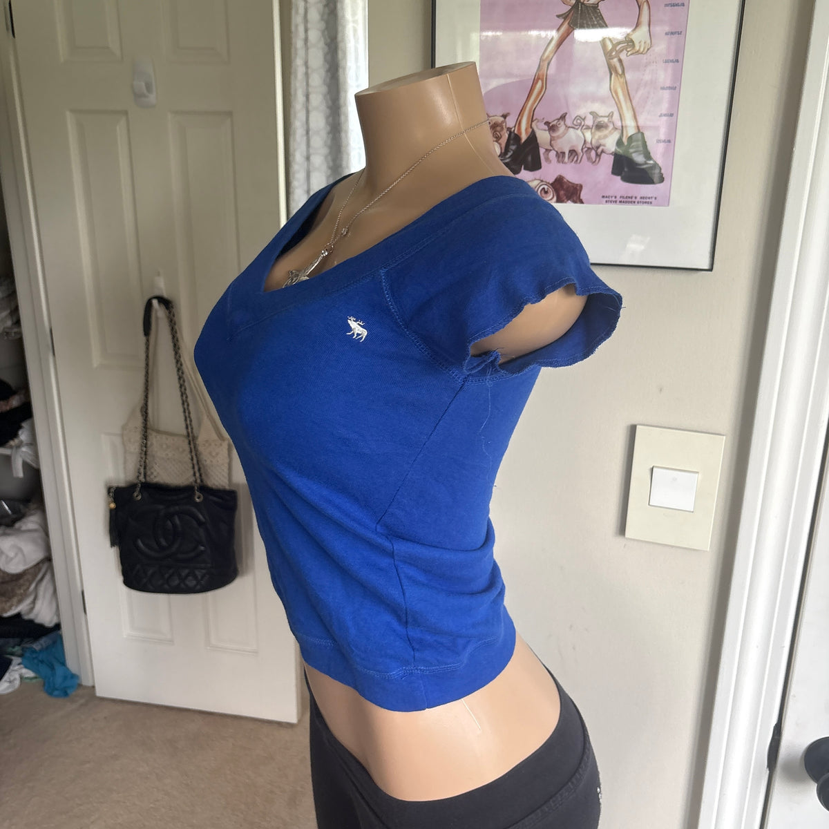 00s Abercrombie blue moose short sleeve (size XS/S)