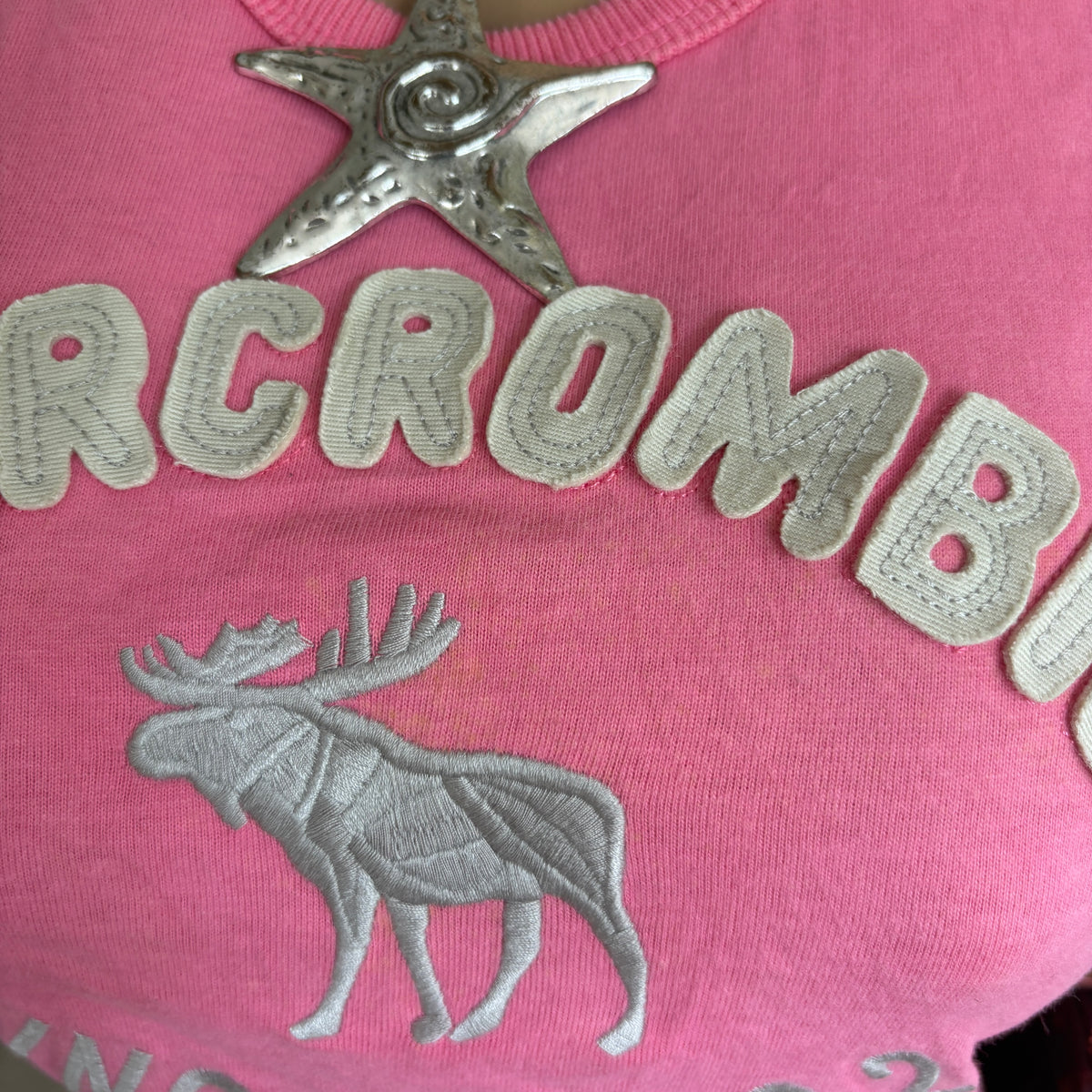 00s Abercrombie spellout pink moose baby tee (size XS)