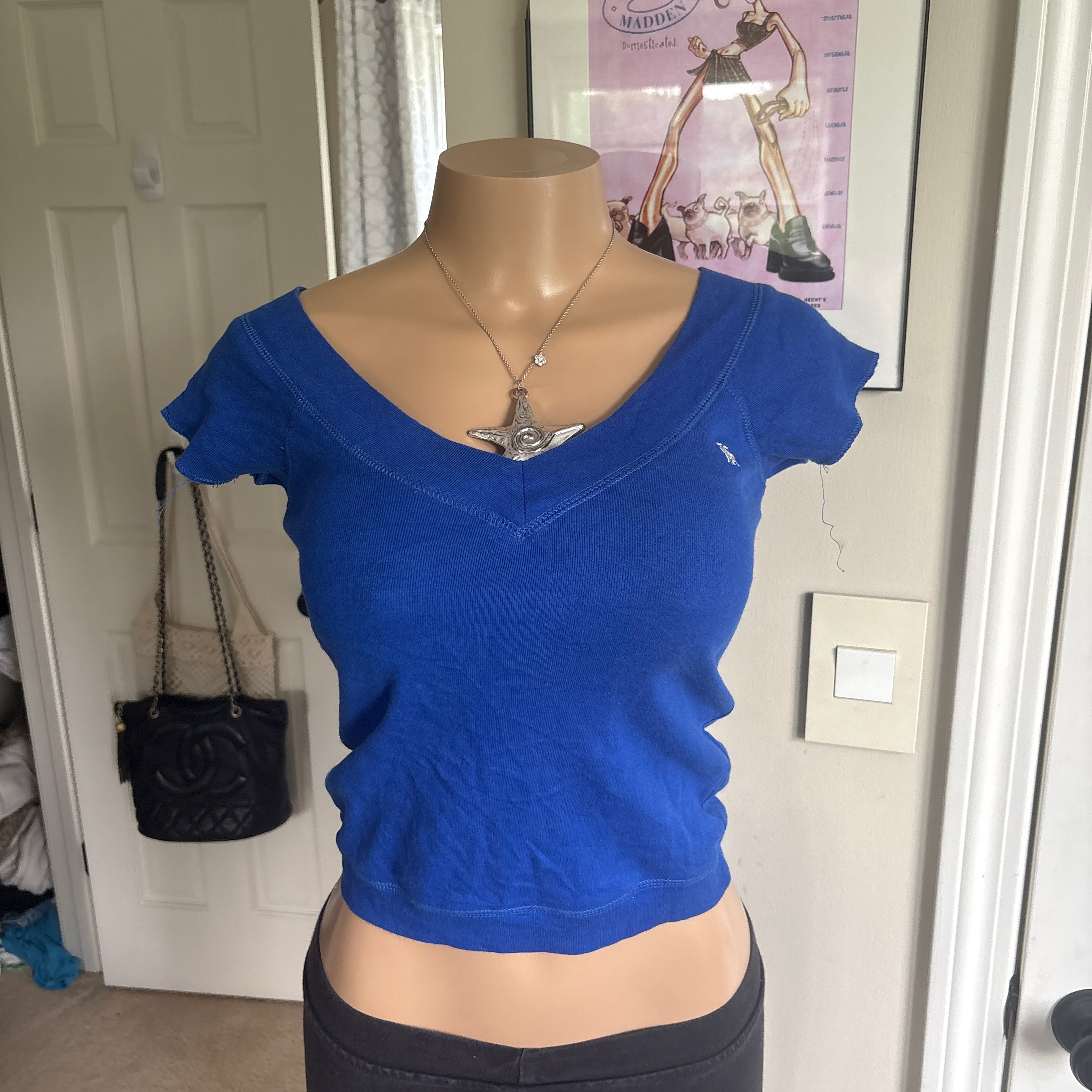 00s Abercrombie blue moose short sleeve (size XS/S)